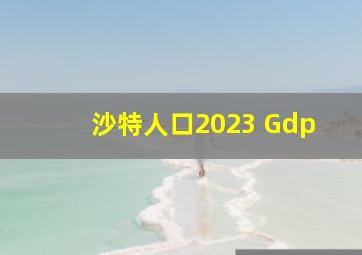 沙特人口2023 Gdp